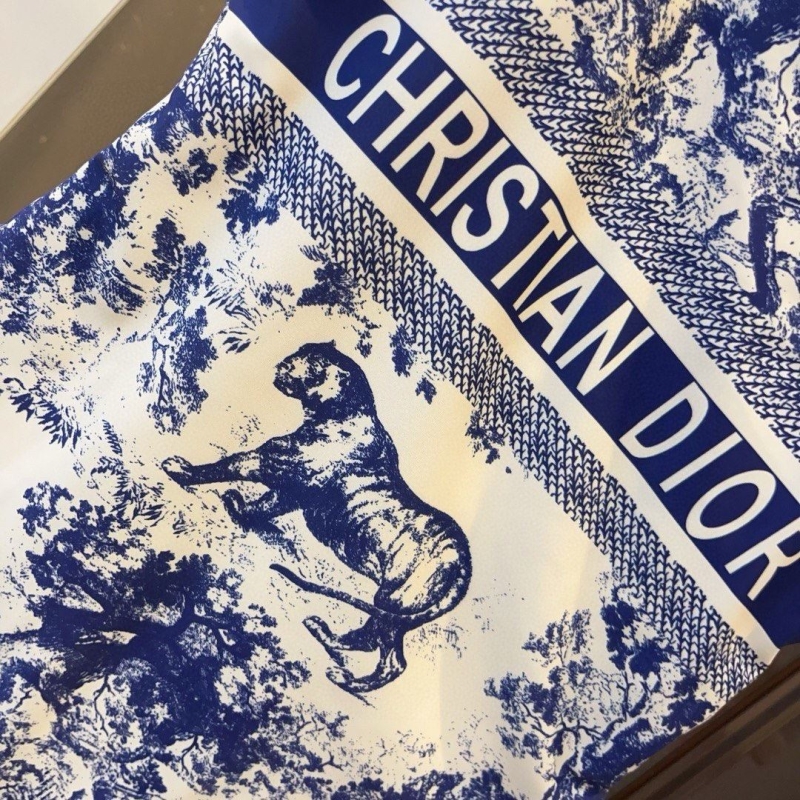 CHRISTIAN DIOR